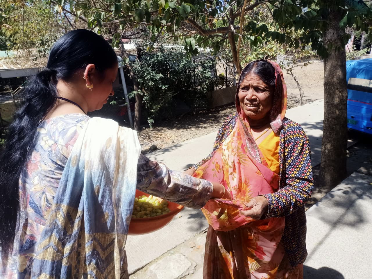 Community Fruit Service Initiative